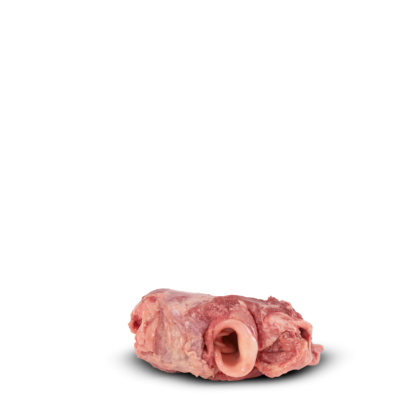 Garganta Suína